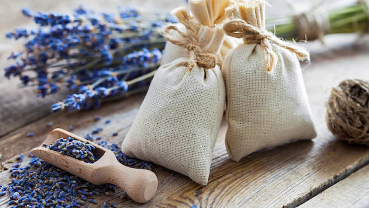 Guide to Selecting the Perfect Aesthetic Scented Pouches